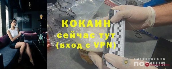 эйфоретик Алзамай