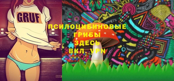 эйфоретик Алзамай