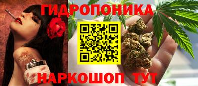 spice Кулебаки
