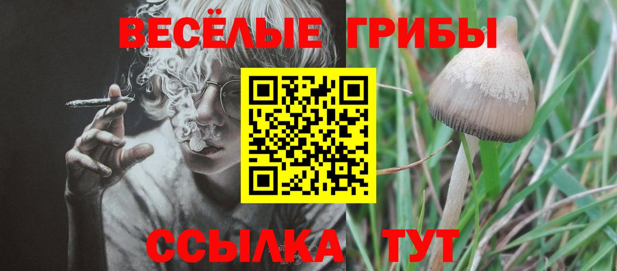 Йошкар-Ола  Галлюциногенные грибы Cubensis  Вход с VPN 